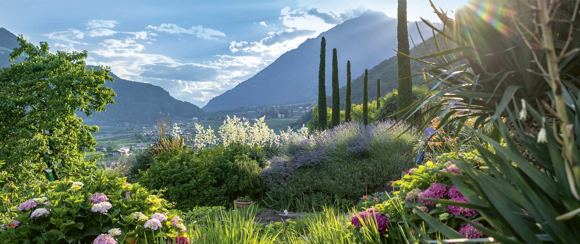 blühende Natur in Algund Südtirol mit Zypressen und Panorama